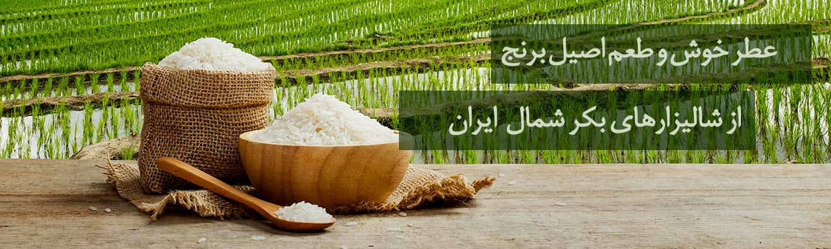 فروشگاه احمدیان