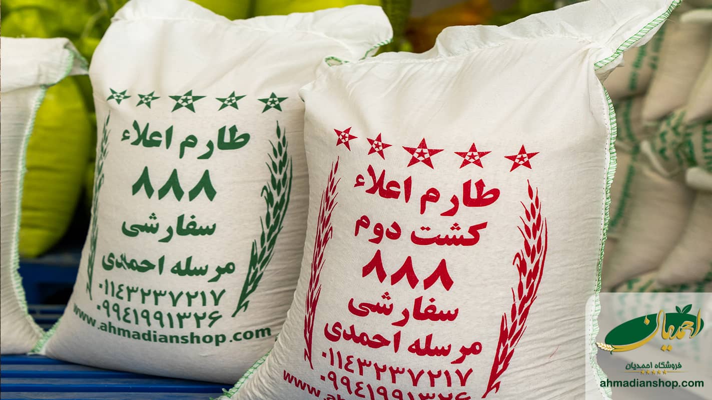 تفاوت برنج کشت اول و کشت دوم