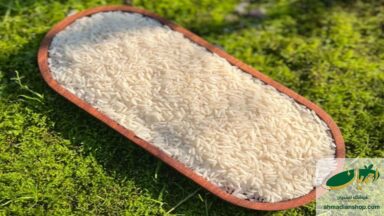 تفاوت برنج طارم و هاشمی